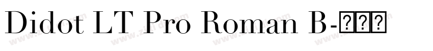 Didot LT Pro Roman B字体转换 Didot LT Pro Roman B字体转换